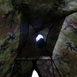 image-d831ca34935947d3b9d5d1db2e7b336e