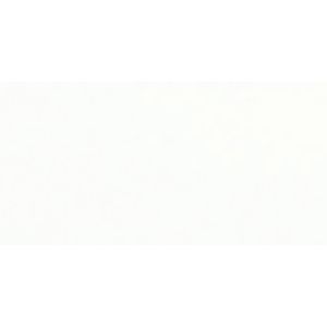 Revestimento Para Parede Portinari 29,8x60,1cm White Plain Lux Classe A USO 1