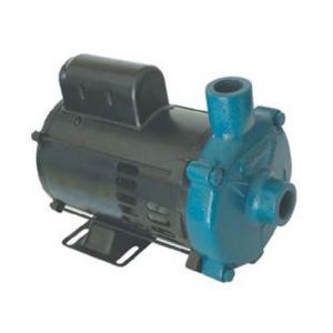 Bomba D'Água Centrífuga Eletroplás ECS300M 3CV 110V / 220V