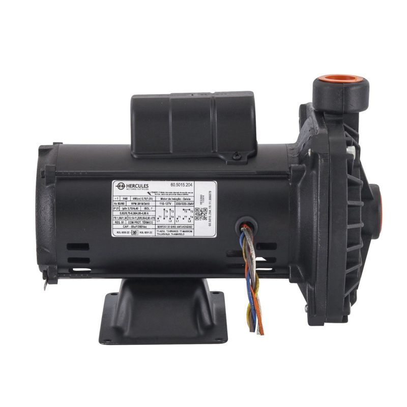 BOMBA-DANCOR-PRATIKA-CP-6R-FC165-1CV-M-127-220-254V