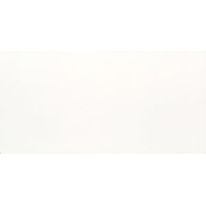 Porcelanato Elizabeth 50x101cm Pure White Polido Retificado Classe A E3