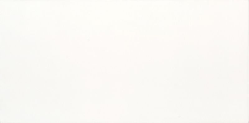 PORCELANATO-ELIZABETH-50X101-PURE-WHITE-POLIDO-RETIFICADO-AE3-201