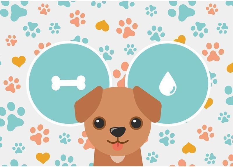 Tapete-Uzoo-Pet-Pvc-Cachorro-Colorido-35x50