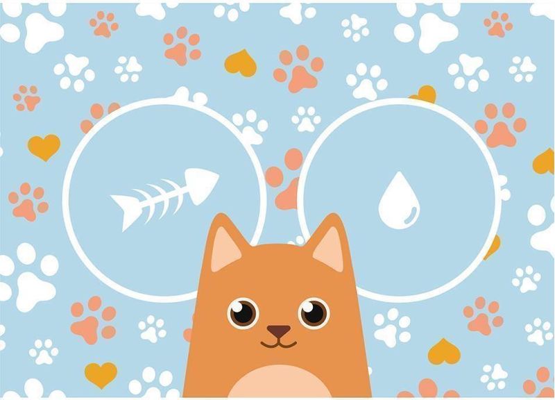 Tapete-Uzoo-Pet-Pvc-Gato-Azul-35x50cm