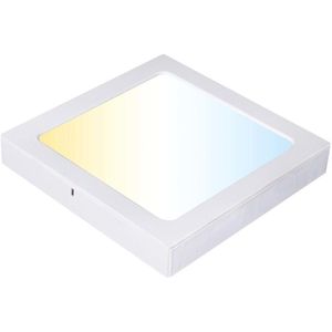 Painel Smart Wi-Fi 2 Em 1 Led Quadrado 24W Cw-Ww Abs Ecoforce 18605 Branco Bivolt