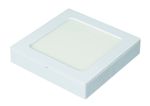 PAINEL-2-EM-1-LED-QUADRADO-12W-6500K-ABS-E-POLICARBONATO-ECOFORCE-17208-BRANCO-BIVOLT