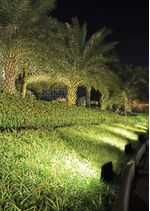 REFLETOR-COMPACTO-LED-30W-6500K-ALUMINIO-E-VIDRO-ECOFORCE-18373-PRETO-BIVOLT