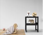 ESTANTE-DECORATIVA-ORGANIZE-DEMI-QUADRA-2-PRATELEIRAS-38X47X30-PRETO