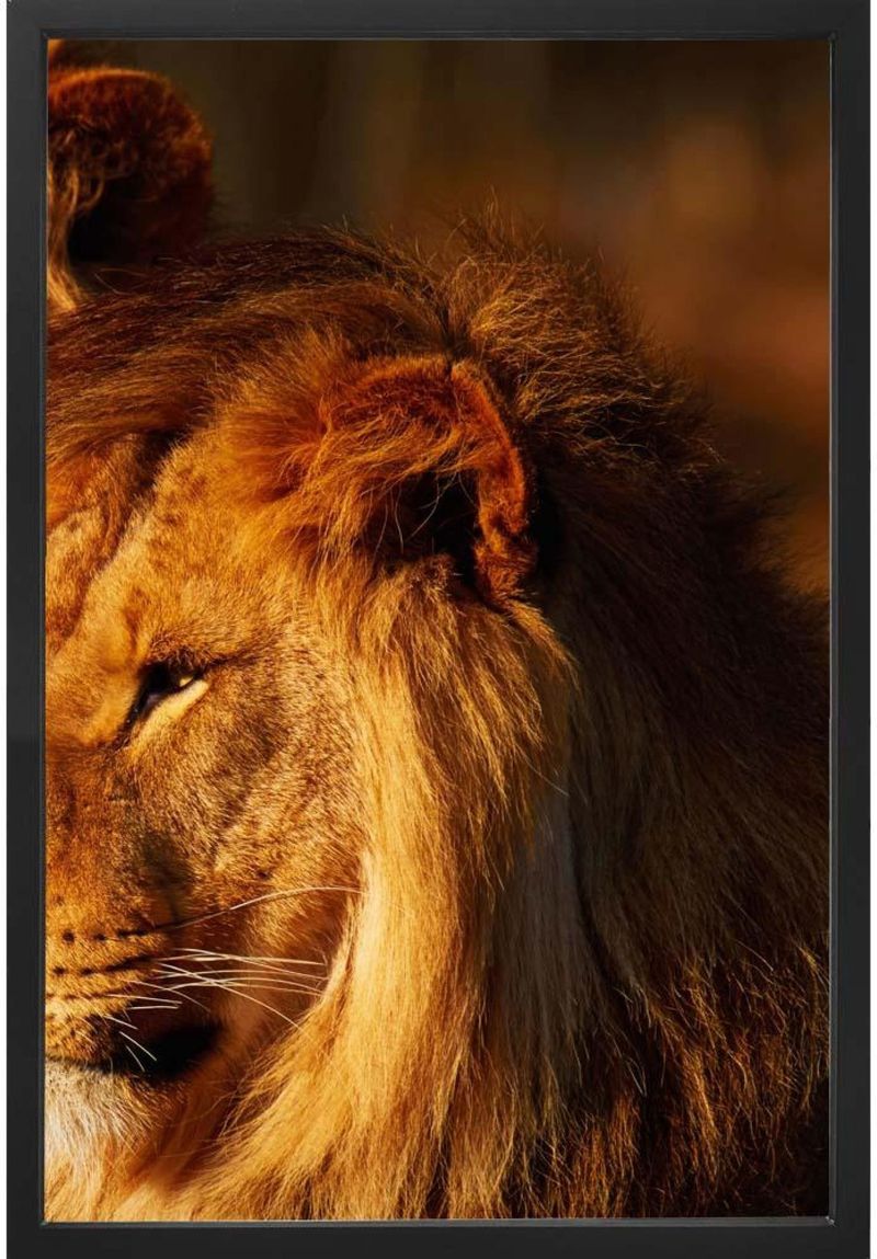 QUADRO-DECORATIVO-ARTE-PROPRIA-KIT-2-PECAS-FAMILIA-LEAO-40X60CM