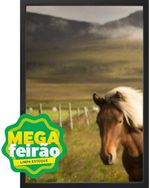 Quadro-Decorativo-Arte-Propria-Kit-3-Pecas-Cavalos-40x60cm