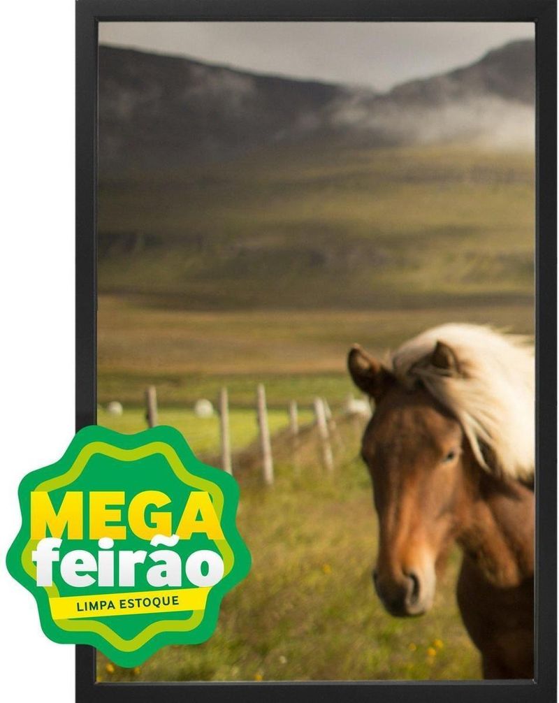 Quadro-Decorativo-Arte-Propria-Kit-3-Pecas-Cavalos-40x60cm