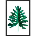QUADRO-DECORATIVO-ARTE-PROPRIA-KIT-3-PECAS-FOLHAGENS-DESENHO-1-40X60CM