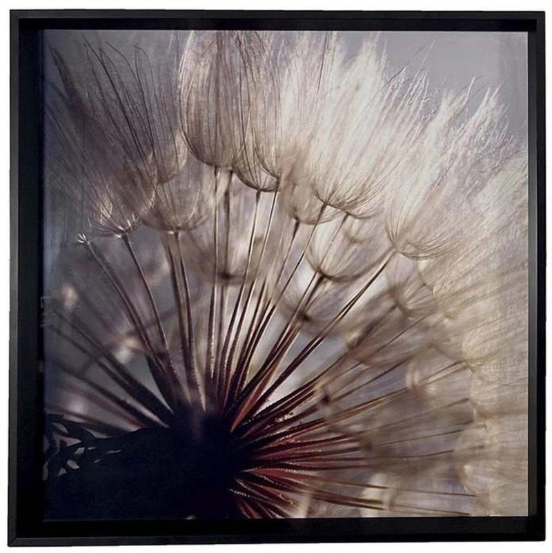 QUADRO-DECORATIVO-ARTE-PROPRIA-DENTE-DE-LEAO-I-60X60CM