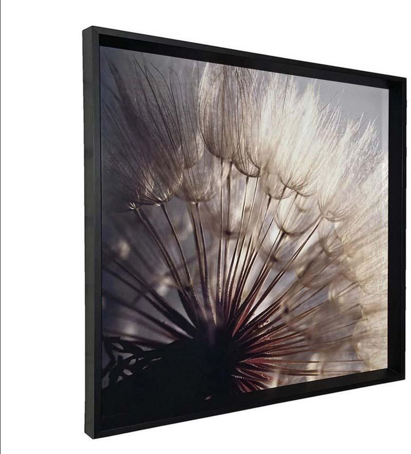 QUADRO-DECORATIVO-ARTE-PROPRIA-DENTE-DE-LEAO-I-60X60CM