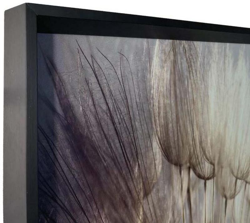 QUADRO-DECORATIVO-ARTE-PROPRIA-DENTE-DE-LEAO-I-60X60CM