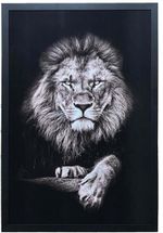 QUADRO-DECORATIVO-ARTE-PROPRIA-SEM-VIDRO-LEAO-90X60CM