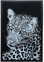 QUADRO-DECORATIVO-ARTE-PROPRIA-SEM-VIDRO-ONCA-90X60CM