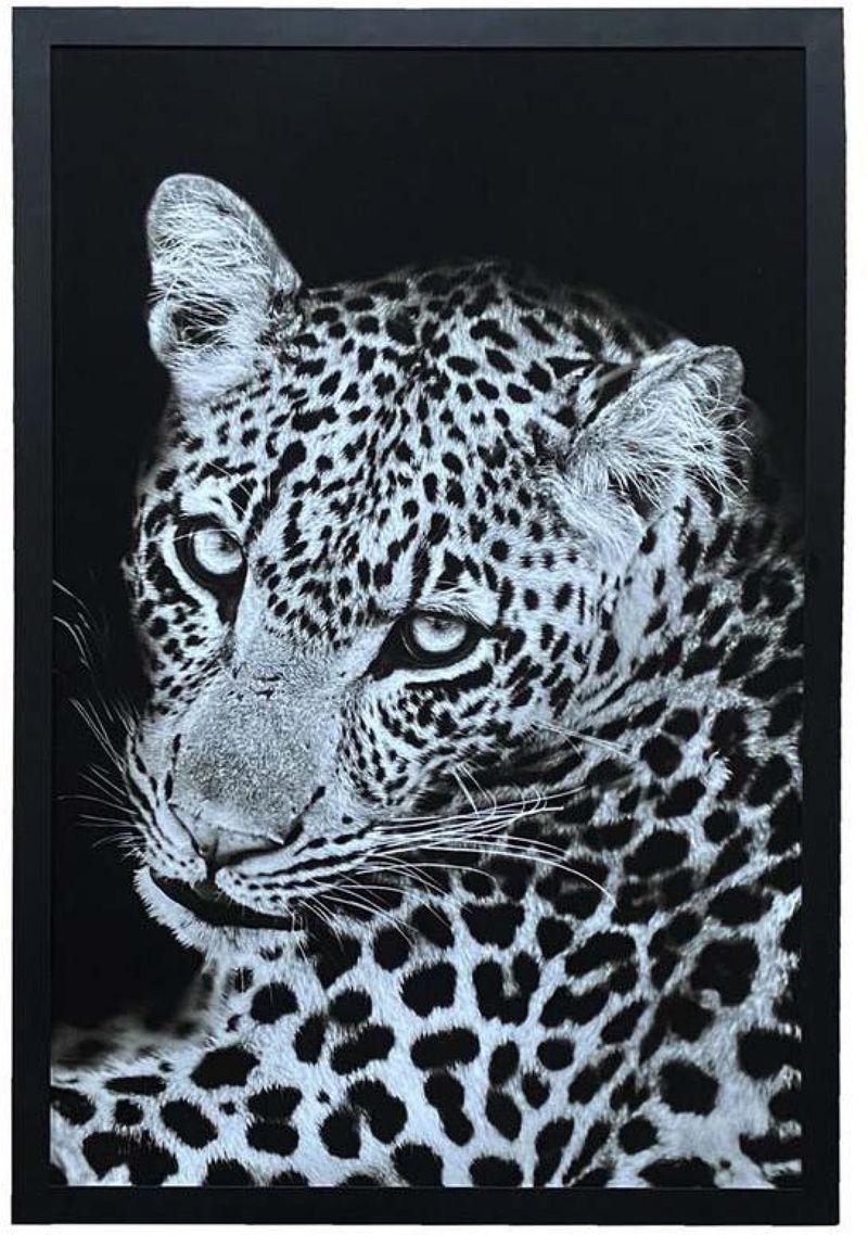QUADRO-DECORATIVO-ARTE-PROPRIA-SEM-VIDRO-ONCA-90X60CM