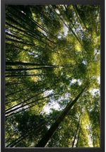 QUADRO-DECORATIVO-ARTE-PROPRIA-KIT-2-PECAS-MATA-PERSPECTIVA-40X60