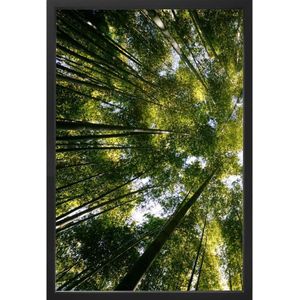 Quadro Decorativo Arte Própria Kit 2 Peças Mata Perspectiva 40x60