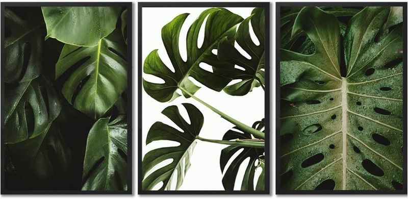 Quadro-Decorativo-Arte-Propria-Kit-3-Pecas-Folhagens-esenho-1-40x60cm