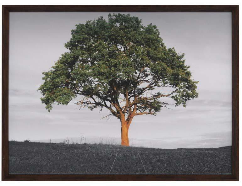 Quadro-Decorativo-Arte-Propria-Arvore-I-78x58cm
