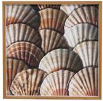 Quadro-Decorativo-Arte-Propria-Conchas-50x50cm