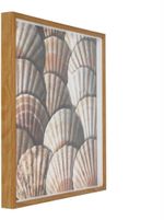 QUADRO-DECORATIVO-ARTE-PROPRIA-CONCHAS-50X50CM