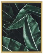 QUADRO-DECORATIVO-ARTE-PROPRIA-DANDY-II-50X40CM