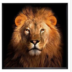 Quadro Decorativo Arte Própria Leão Bronze 100x100cm