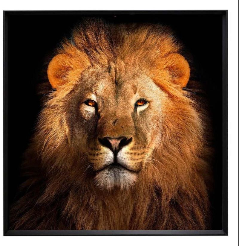 QUADRO-DECORATIVO-ARTE-PROPRIA-LEAO-BRONZE-100X100CM
