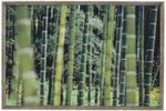 Quadro-Decorativo-Arte-Propria-Zen-Bambu-Verde-90x60cm