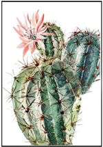 Quadro-Decorativo-E2G-Design-Barcelona-Cacto-Fat-50x70cm