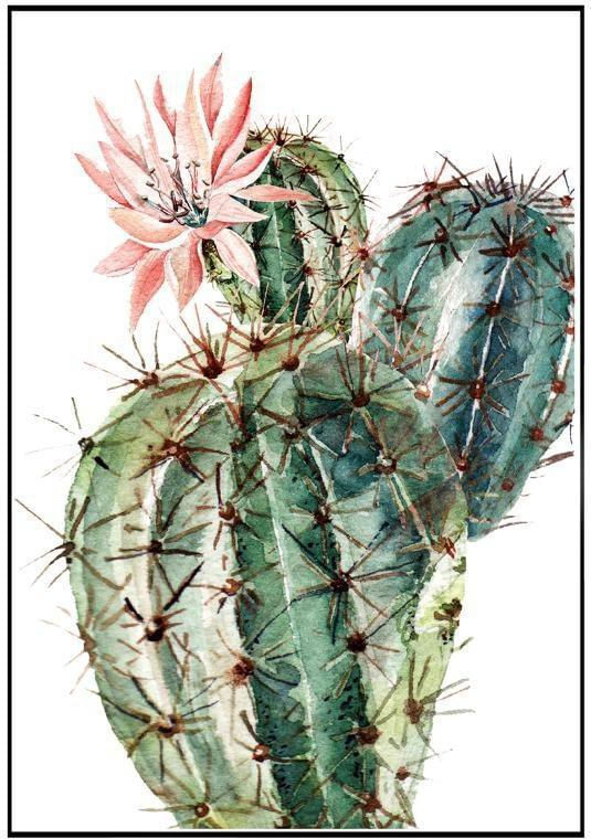 Quadro-Decorativo-E2G-Design-Barcelona-Cacto-Fat-50x70cm