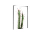 QUADRO-DECORATIVO-E2G-DESIGN-BARCELONA-CACTO-CEREUS-40X50CM
