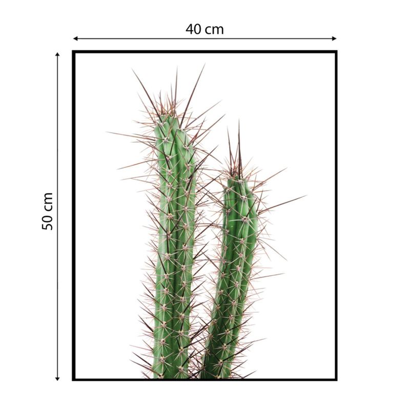 QUADRO-DECORATIVO-E2G-DESIGN-BARCELONA-CACTO-CEREUS-40X50CM