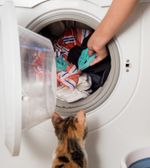 KIT-OIKOS-2-REMOVEDORES-DE-PELOS-PARA-MAQUINA-DE-LAVAR-ROUPAS