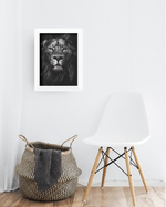 QUADRO-DECORATIVO-ILLUMINATO-LEAO-PRETO-E-BRANCO