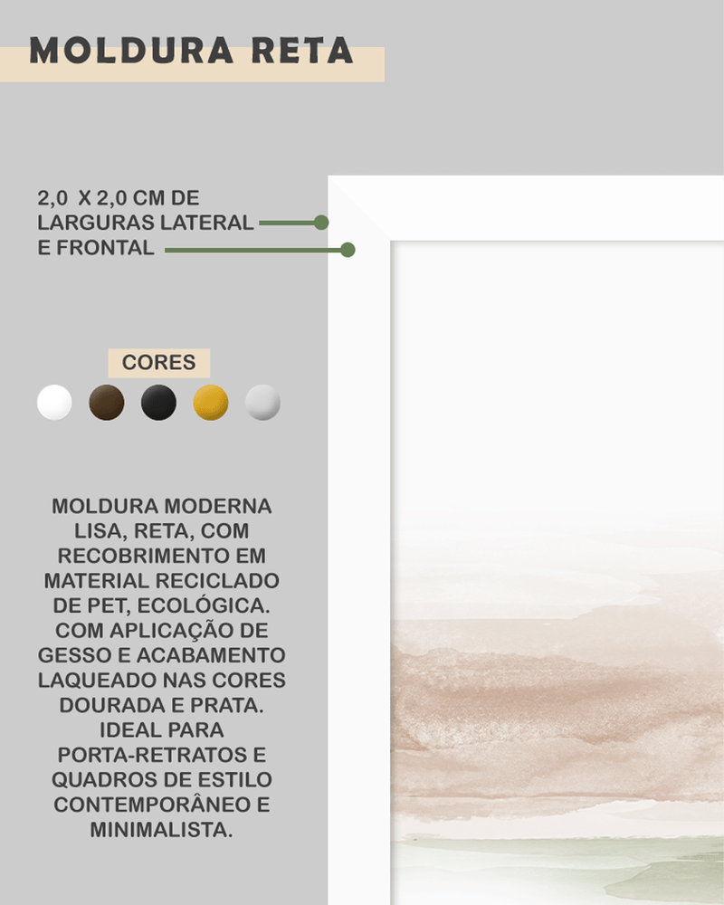 QUADRO-DECORATIVO-ILLUMINATO-LEAO-PRETO-E-BRANCO