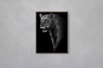 Quadro-Decorativo-Illuminato-Leoa-Preto-e-Branco