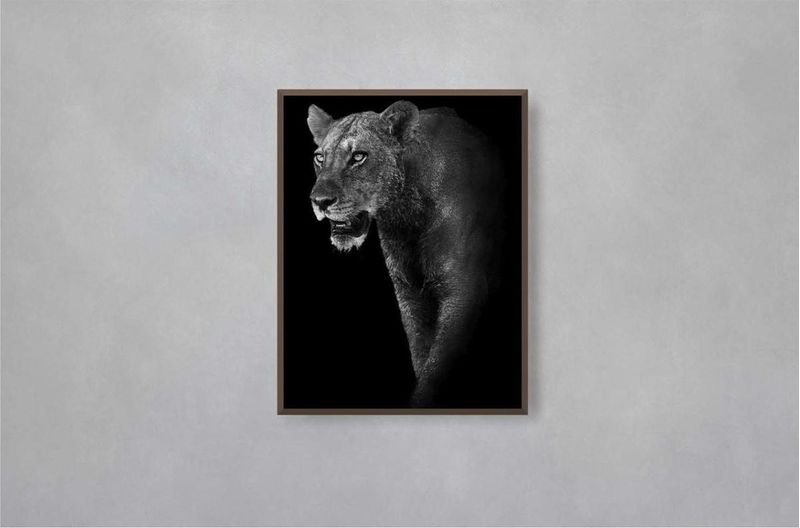 Quadro-Decorativo-Illuminato-Leoa-Preto-e-Branco