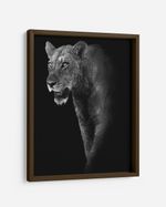 QUADRO-DECORATIVO-ILLUMINATO-LEOA-PRETO-E-BRANCO