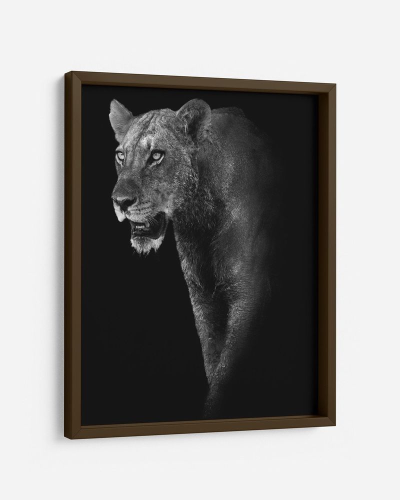 QUADRO-DECORATIVO-ILLUMINATO-LEOA-PRETO-E-BRANCO