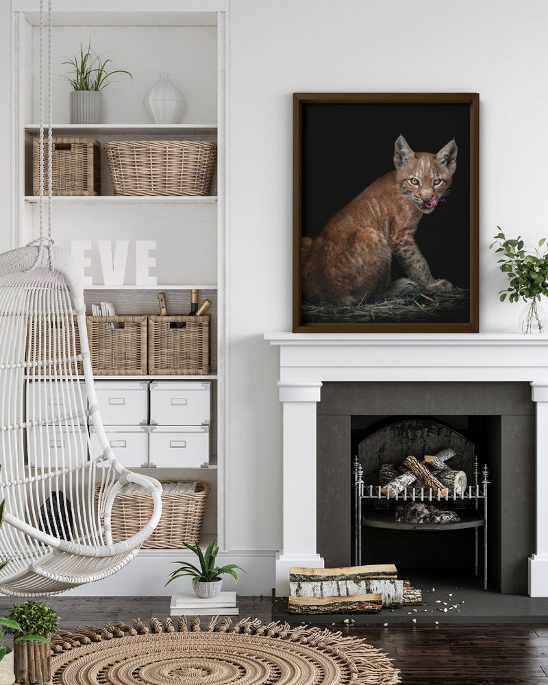 QUADRO-DECORATIVO-ILLUMINATO-GATO-SELVAGEM