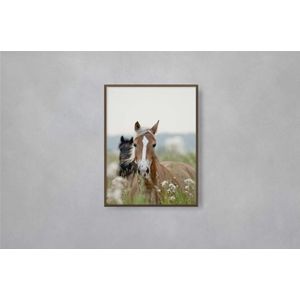 Quadro Decorativo Illuminato Cavalos