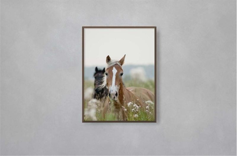 Quadro-Decorativo-Illuminato-Cavalos