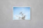 Quadro-Decorativo-Illuminato-Passaro-na-Agua