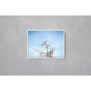 Quadro Decorativo Illuminato Pássaro na Água