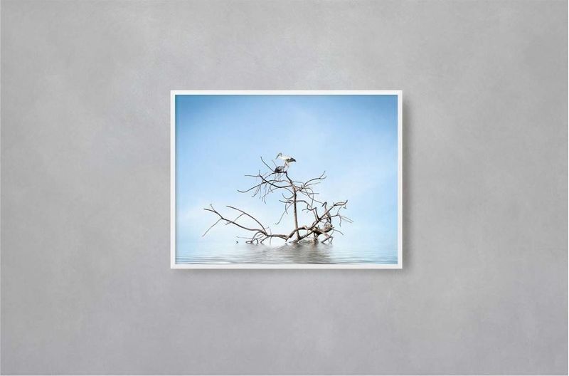 Quadro-Decorativo-Illuminato-Passaro-na-Agua