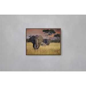 Quadro Decorativo Illuminato Elefantes